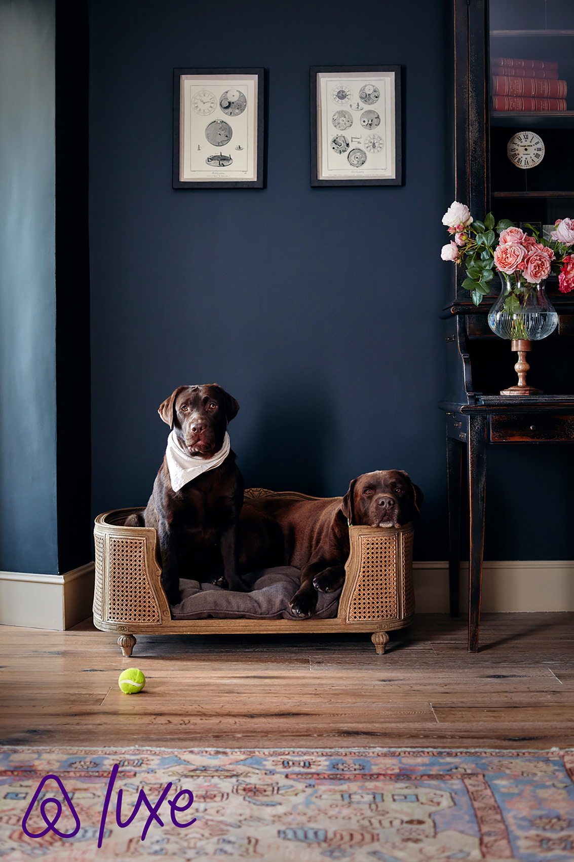 PJM020719Q203_Luxe_ProvenceFR_Bedroom_1879_Dogs_JL12_logo