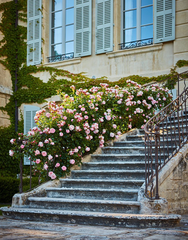 Tondro_Luxe_ProvenceFR_Roses_0754